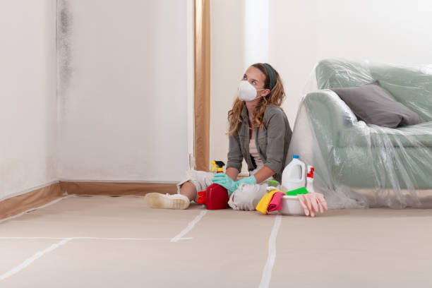 Reliable Black Mold Remediation contractor in Union Bridge, MD by Mold Remediation HQ